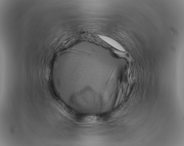 X0000111490227200908111231