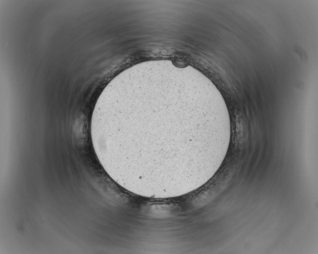 X0000111490228200908111231