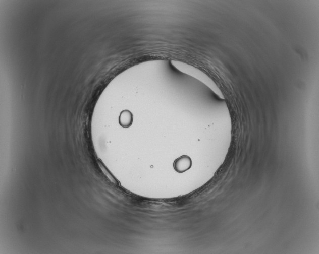 X0000111490229200908111231