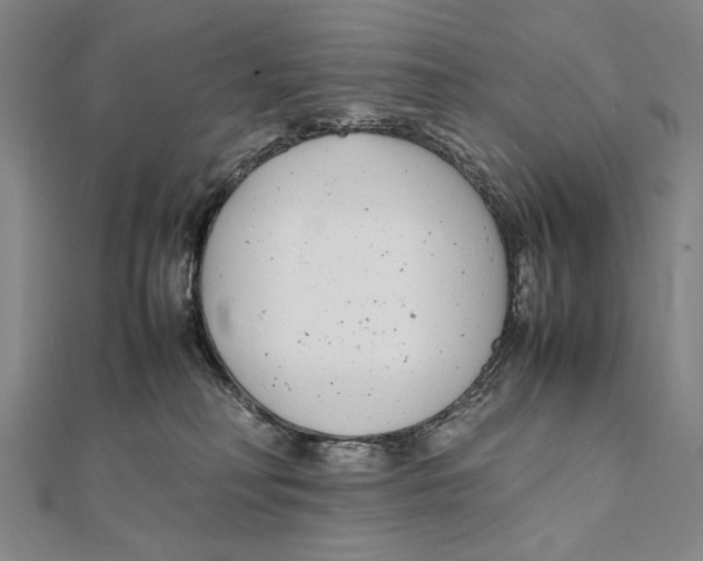 X0000111490230200908111231