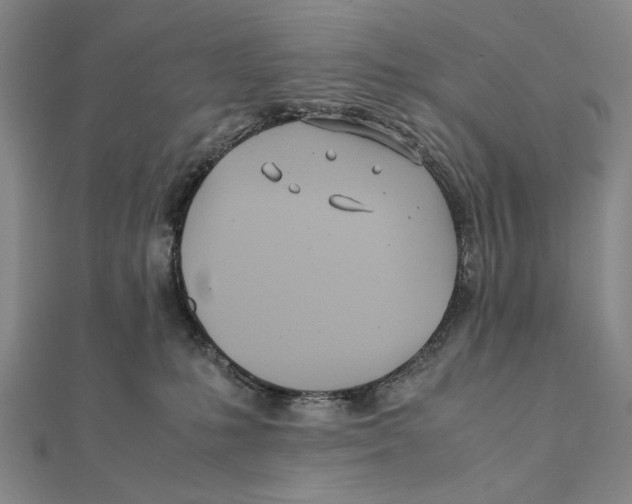 X0000111490231200908111231