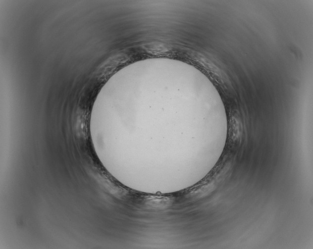 X0000111490234200908111231