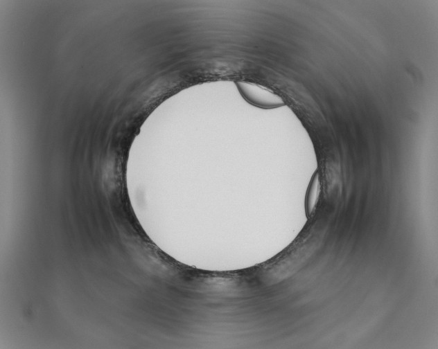X0000111490236200908111231