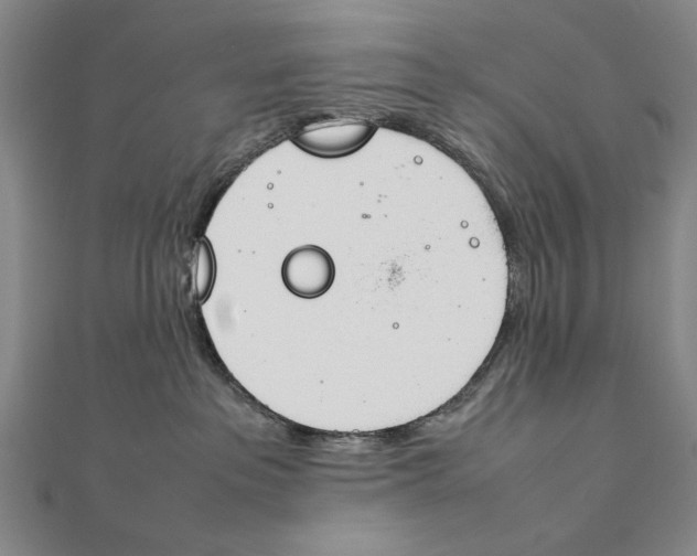 X0000111490237200908111231