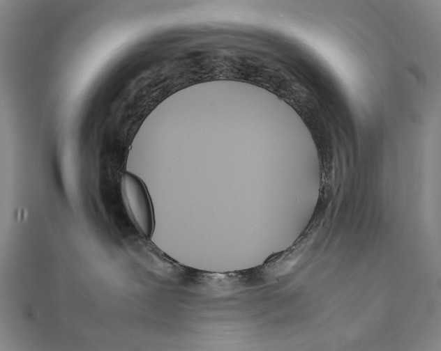 X0000111490239200908111231