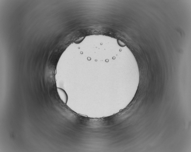 X0000111490240200908111231