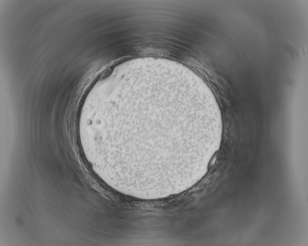 X0000111490241200908111230