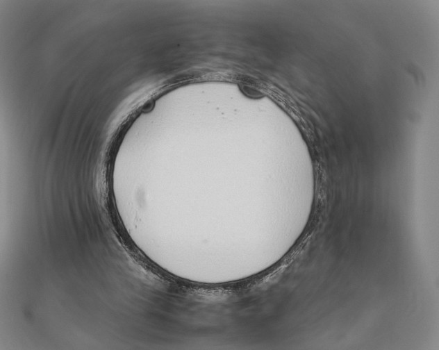 X0000111490245200908111230
