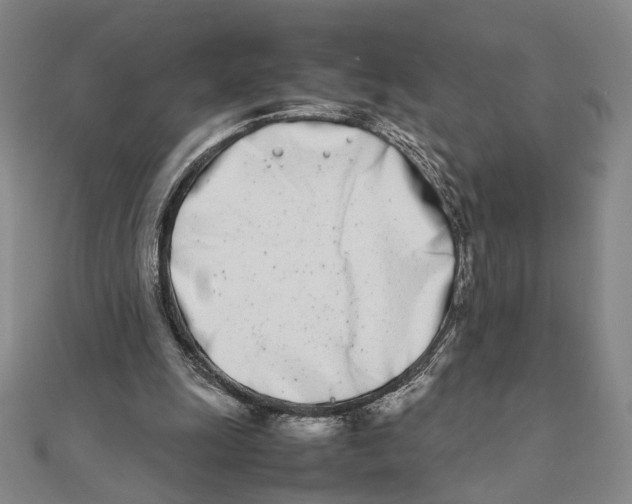 X0000111490247200908111230