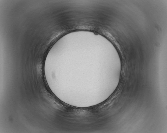 X0000111490249200908111230