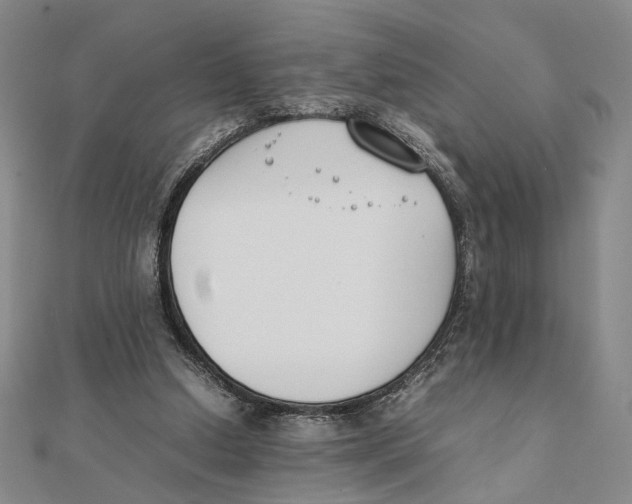 X0000111490250200908111230