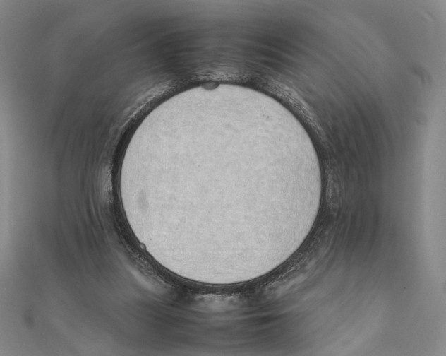 X0000111490251200908111230