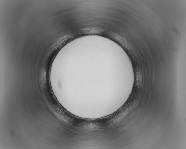 X0000111490254200908111230