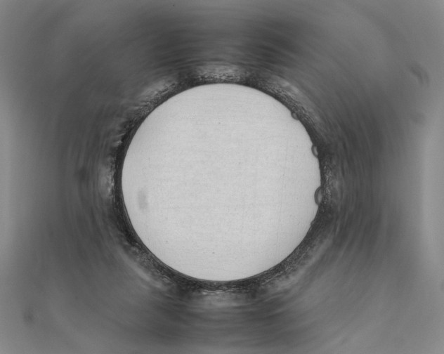 X0000111490259200908111230