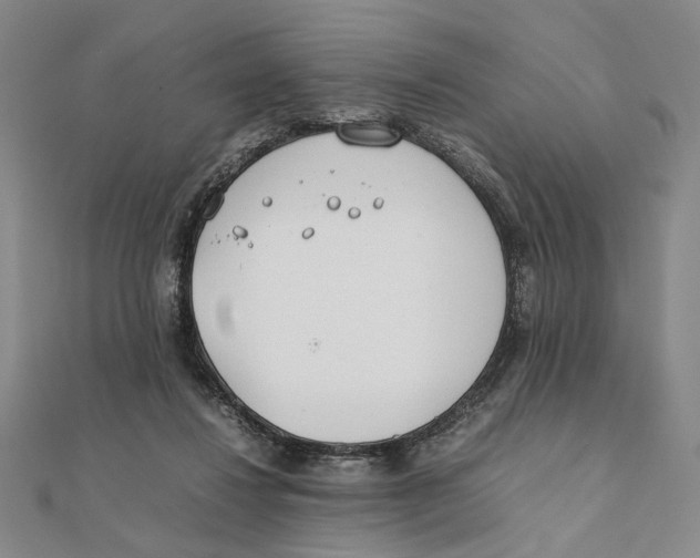 X0000111490260200908111230