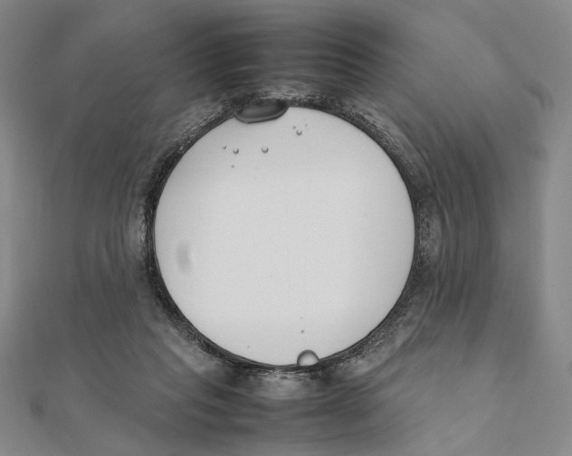 X0000111490261200908111230