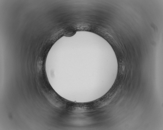 X0000111490263200908111230