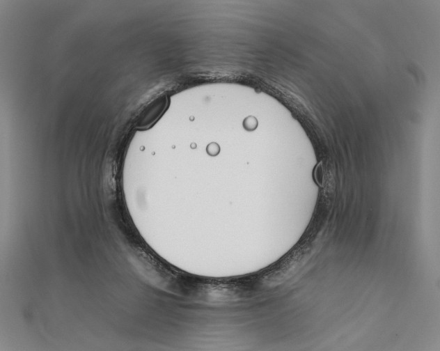 X0000111490264200908111230