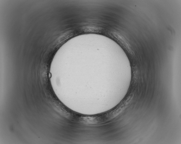 X0000111490265200908111230