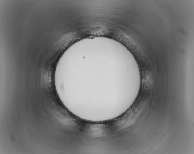 X0000111490268200908111230