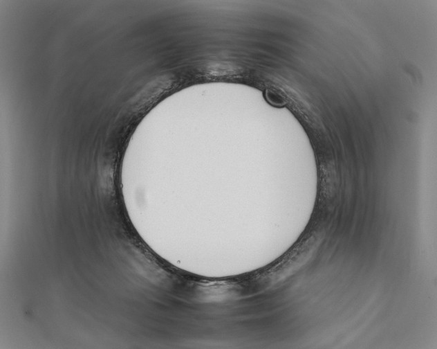 X0000111490269200908111230