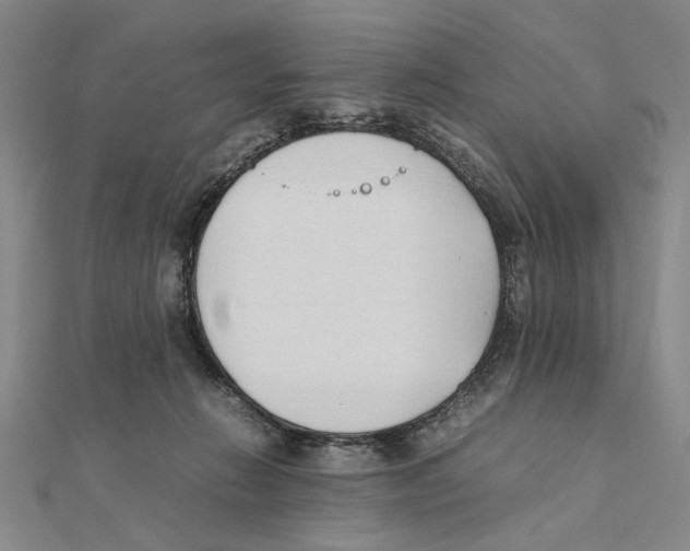 X0000111490270200908111230