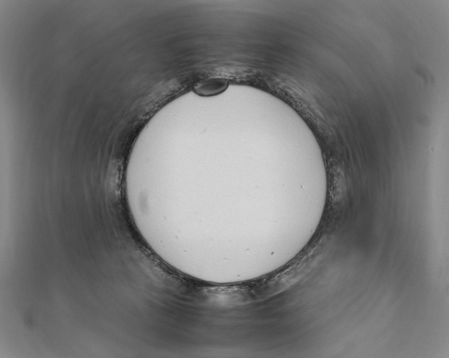 X0000111490273200908111230