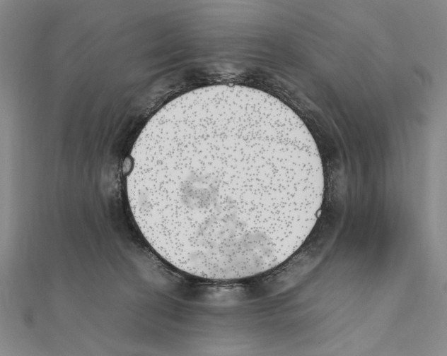 X0000111490274200908111230