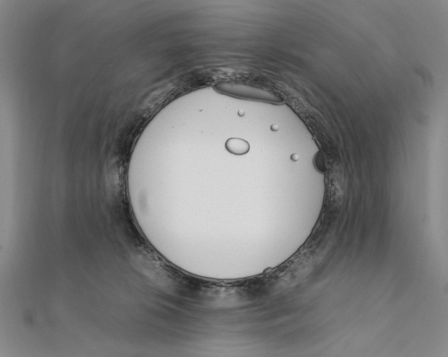 X0000111490276200908111231