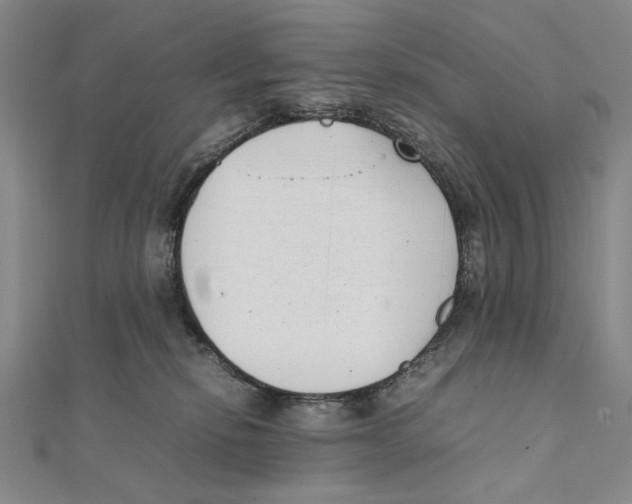 X0000111490278200908111231