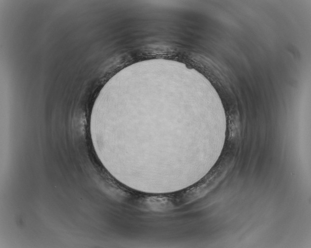 X0000111490279200908111231
