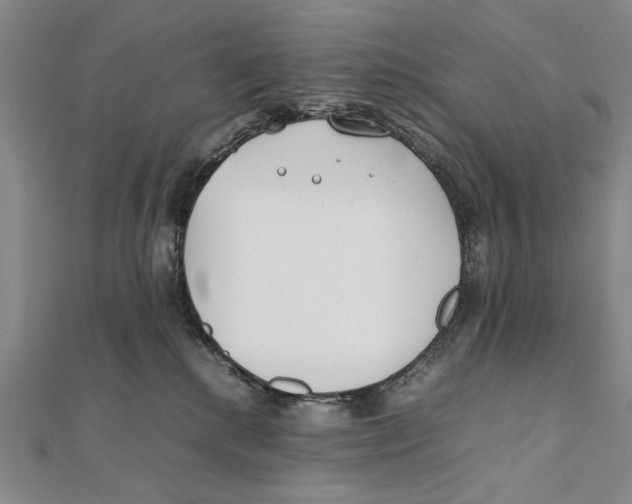 X0000111490280200908111231