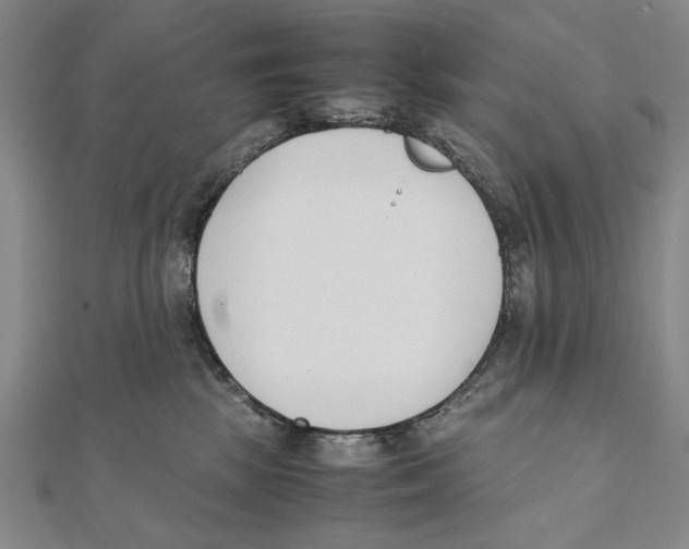 X0000111490281200908111231