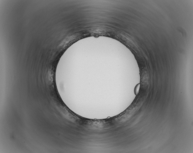 X0000111490282200908111231