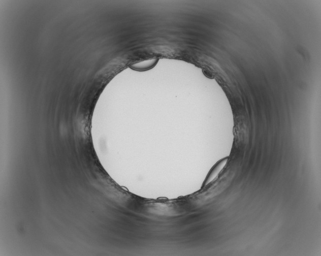 X0000111490285200908111231