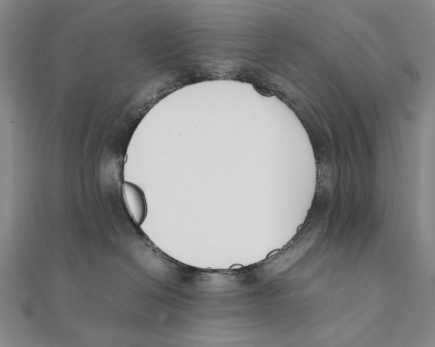 X0000111490286200908111231