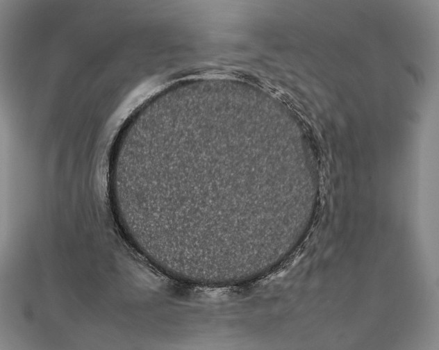 X0000111490295200908111230