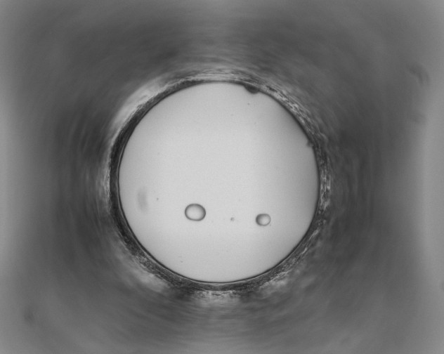 X0000111490296200908111230