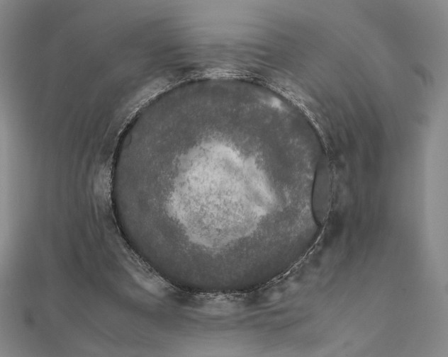 X0000111490297200908111230