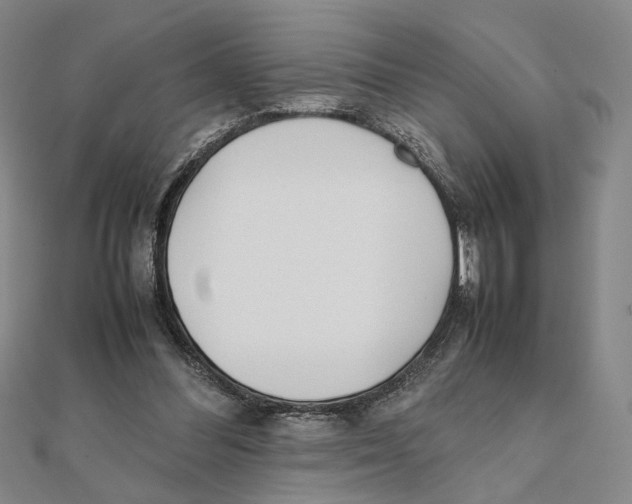 X0000111490300200908111230
