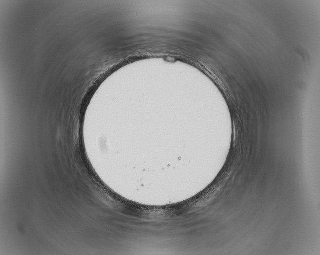 X0000111490301200908111230