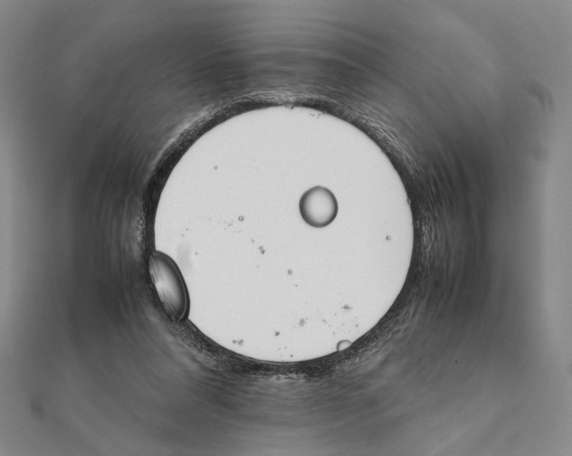 X0000111490304200908111230