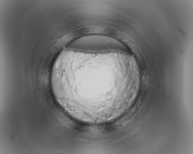 X0000111490305200908111230