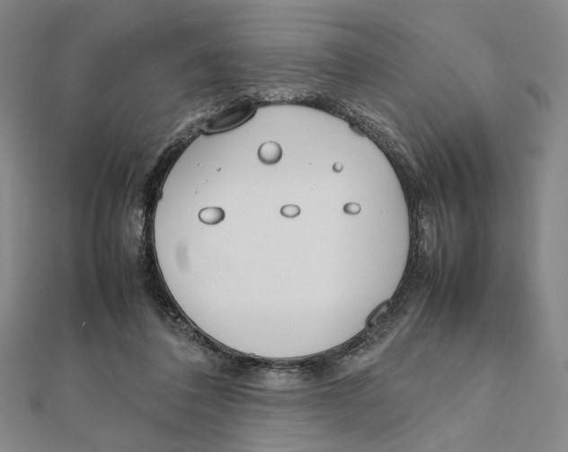 X0000111490308200908111230