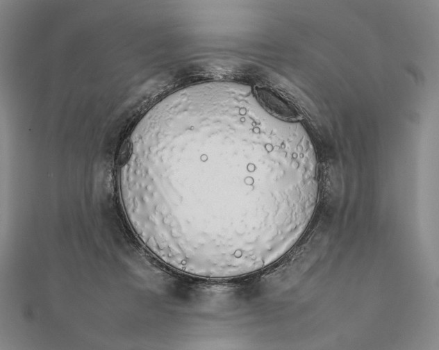 X0000111490313200908111230