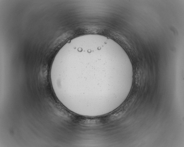 X0000111490314200908111230