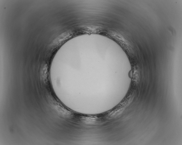 X0000111490318200908111230