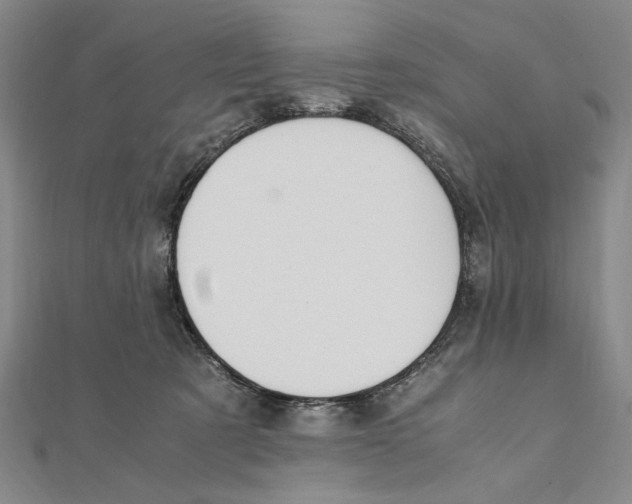 X0000111490321200908111229