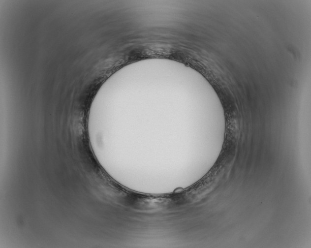 X0000111490323200908111229