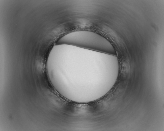 X0000111490324200908111229